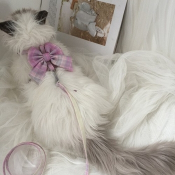 Mačji vučni pojas s prilagodljivim prsnim pojasom, proširivi povodac