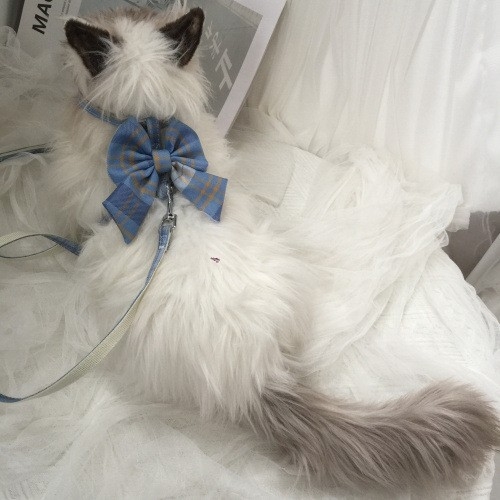 Mačji vučni pojas s prilagodljivim prsnim pojasom, proširivi povodac