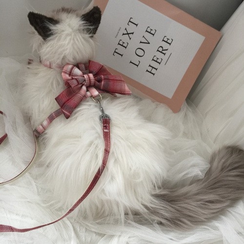 Mačji vučni pojas s prilagodljivim prsnim pojasom, proširivi povodac