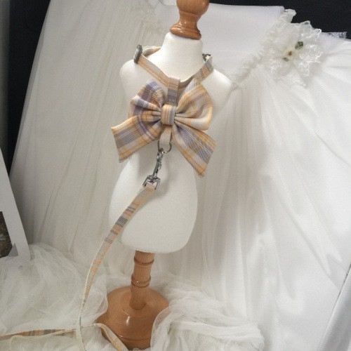 Mačji vučni pojas s prilagodljivim prsnim pojasom, proširivi povodac