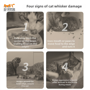 Keraamilised kasside kausid mustriga, kahekohaline söögikauss, toidukvaliteet