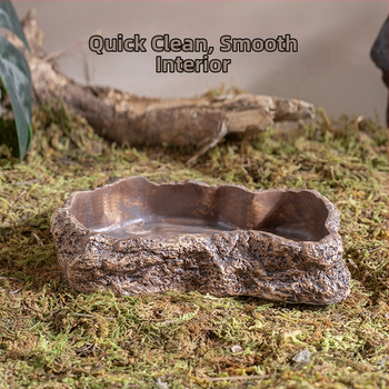 Roomajate toitumise ja joogikauss kivivanni imitatsiooniga (Materjal: Poola tsement; Bränd: Shuo ni; Sobiv: roomajad; Litsentsitud eribrändide märgid: Jah)