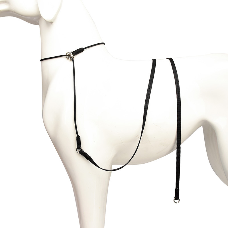 Qianyou ultra lagano poliesterno užad za trening pasa, paket od 100