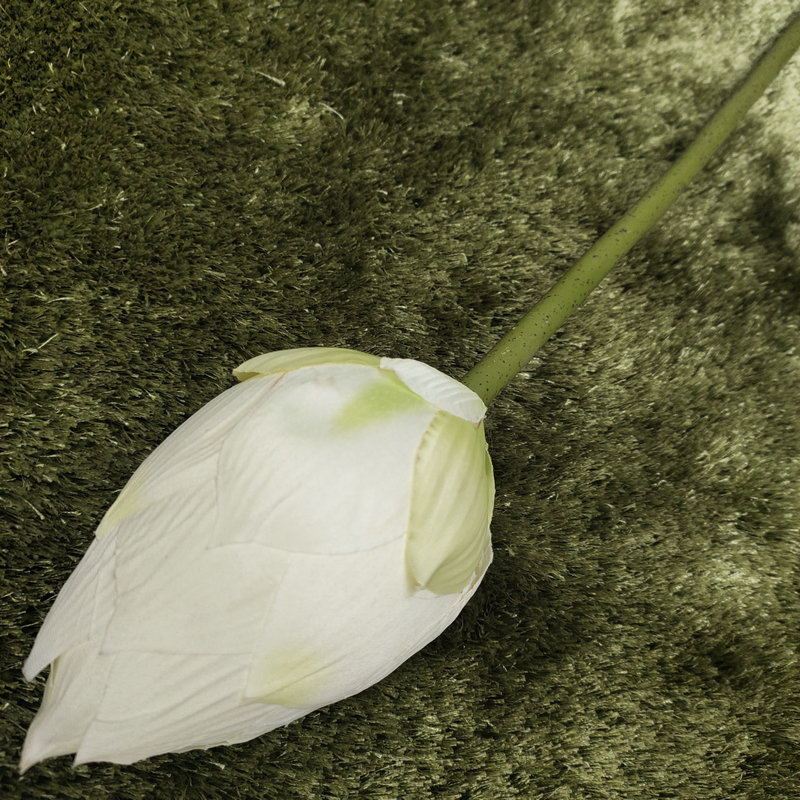 Umjetno svileno cvijeće vodeni ljiljan — Marka: Yiyi Flower; Materijal: Svila; Ručni rad: Drugo; Vrsta: Vodeni ljiljan; Za vjenčanje, na otvorenom, rekvizite za fotografiju, kućni dekor