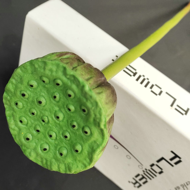 Umjetno svileno cvijeće vodeni ljiljan — Marka: Yiyi Flower; Materijal: Svila; Ručni rad: Drugo; Vrsta: Vodeni ljiljan; Za vjenčanje, na otvorenom, rekvizite za fotografiju, kućni dekor