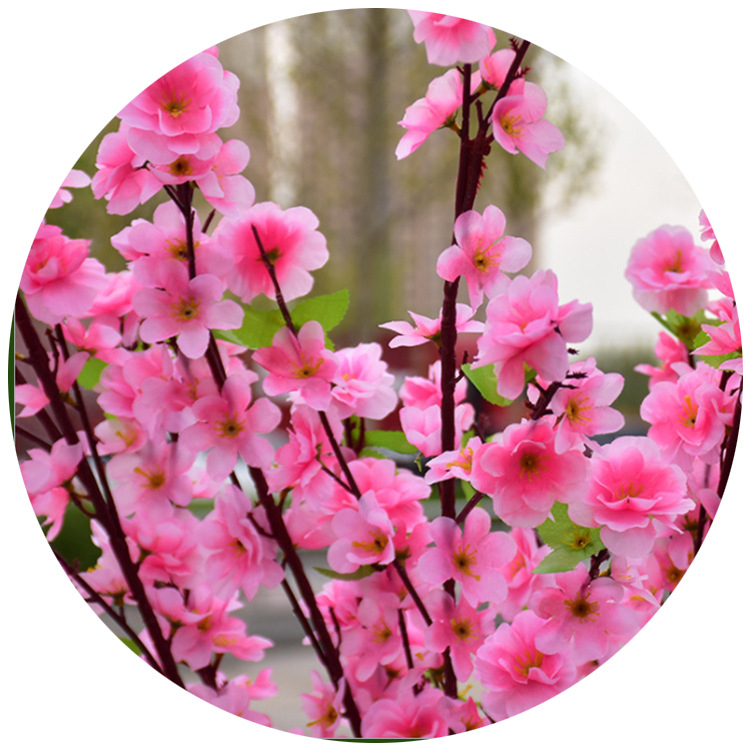 Viltotas persiku zieds zari dekorācijai mājās; Materiāls: zīda ziedi; Veids: simulētie persiku ziedi; Svars: 80 g; Piemērošana: kāzas, mājas dekors