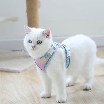 Kassi rindkere rihm – polüester, rindkere rihm kassidele, köis lemmikloomadele