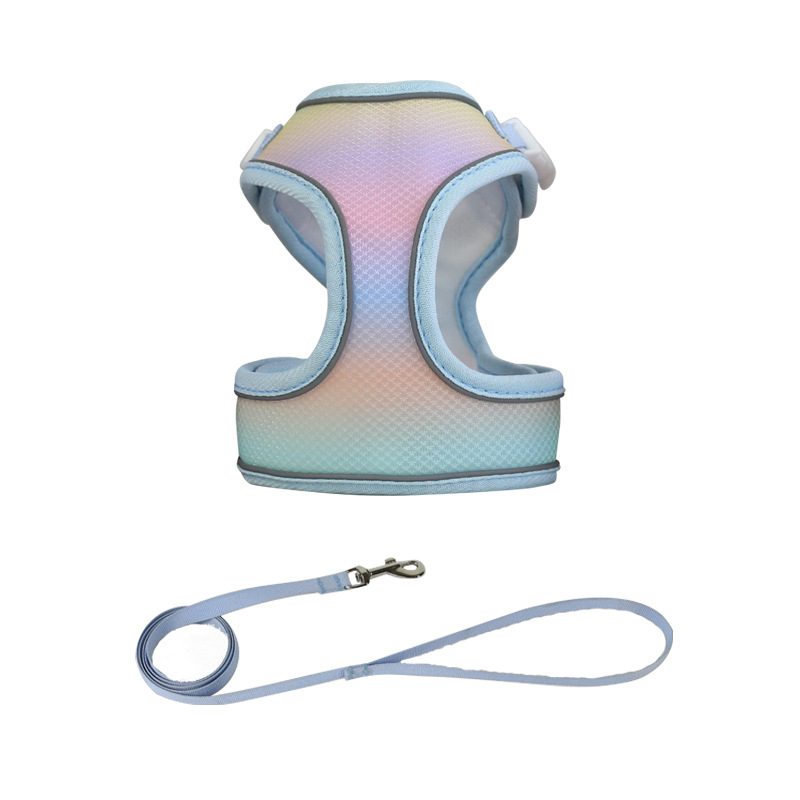 Kassi rindkere rihm – polüester, rindkere rihm kassidele, köis lemmikloomadele