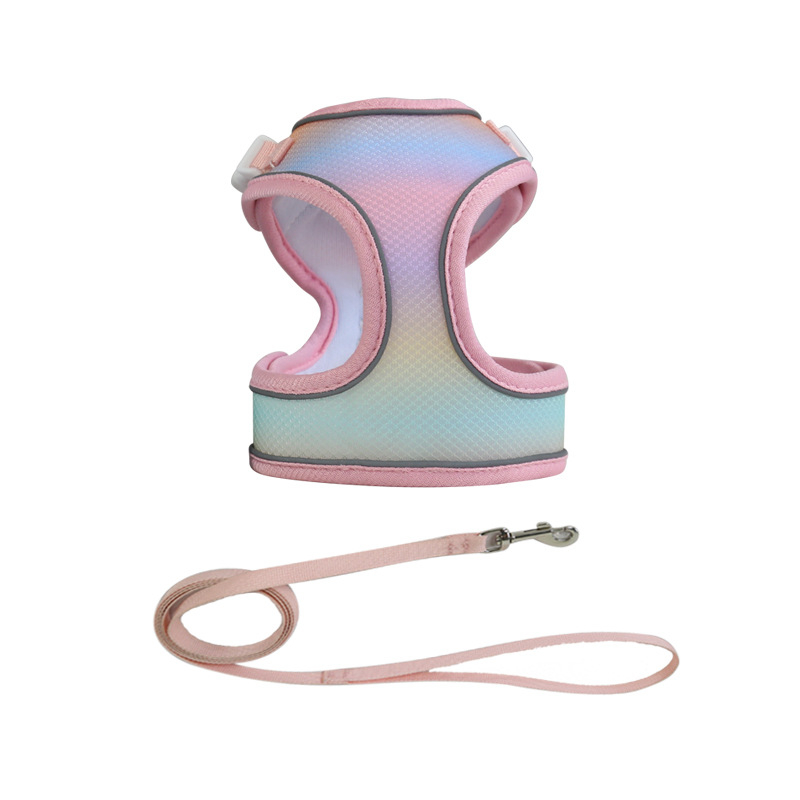 Kassi rindkere rihm – polüester, rindkere rihm kassidele, köis lemmikloomadele