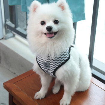 SORADD ham pentru pisică, stil vestă, cu curea pentru piept, poliester respirabil, fără retractare