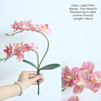 Mākslīgā Phalaenopsis orhideja, zīda zieds – Western butterfly zīmols, šķirne Phalaenopsis