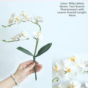 Mākslīgā Phalaenopsis orhideja, zīda zieds – Western butterfly zīmols, šķirne Phalaenopsis