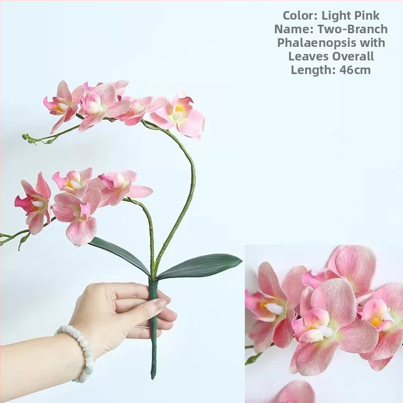 Mākslīgā Phalaenopsis orhideja, zīda zieds – Western butterfly zīmols, šķirne Phalaenopsis