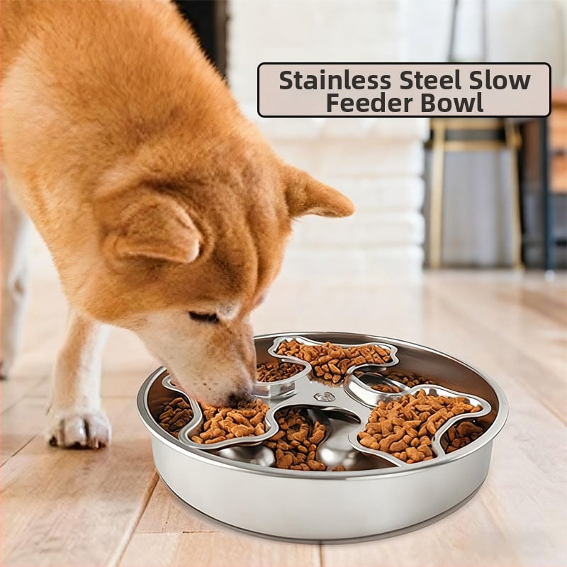 Nerūsējošā tērauda suņa lēnā barošana bļodiņa — universāls lietojums, zīmols Paitel, saderīga ar automatizētām barošanas sistēmām