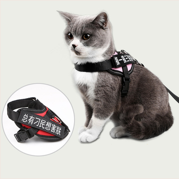 Katės pavadėlis su anti-sulaužymo savybe, liemenės stiliaus dirželis, poliesteris, visoms metų laikams