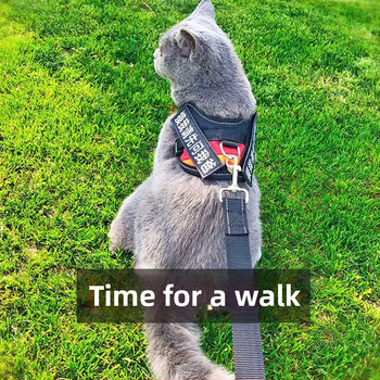 Katės pavadėlis su anti-sulaužymo savybe, liemenės stiliaus dirželis, poliesteris, visoms metų laikams