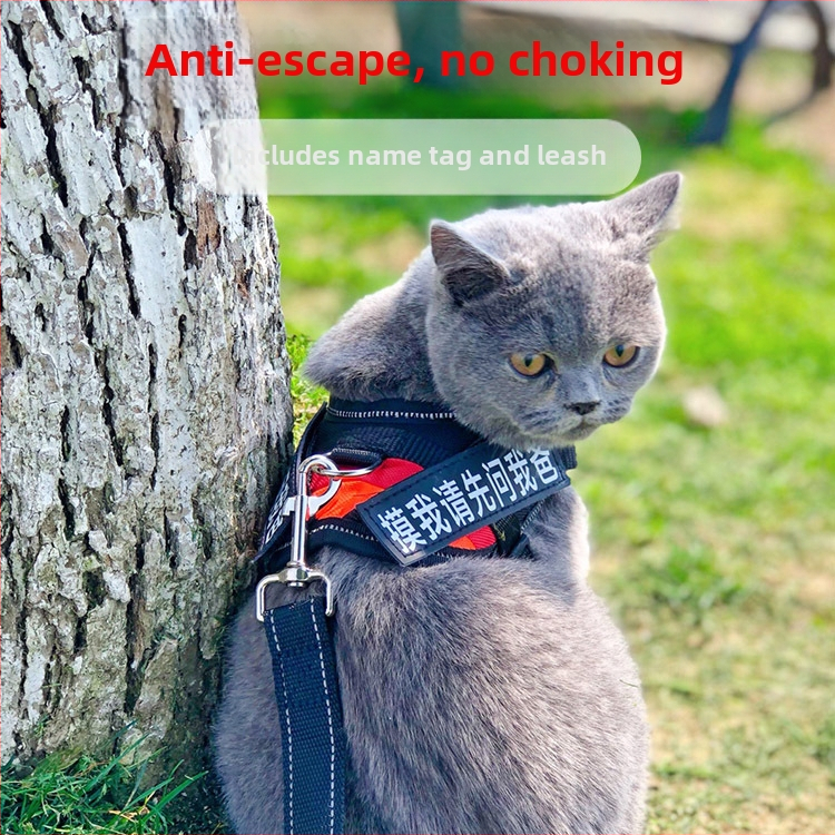 Katės pavadėlis su anti-sulaužymo savybe, liemenės stiliaus dirželis, poliesteris, visoms metų laikams