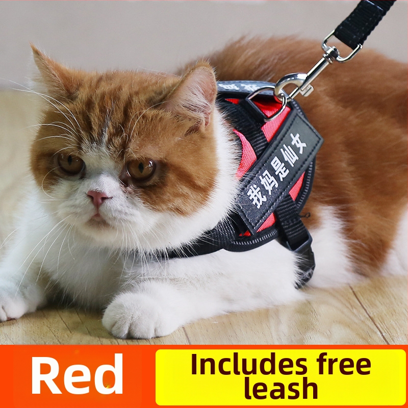 Katės pavadėlis su anti-sulaužymo savybe, liemenės stiliaus dirželis, poliesteris, visoms metų laikams