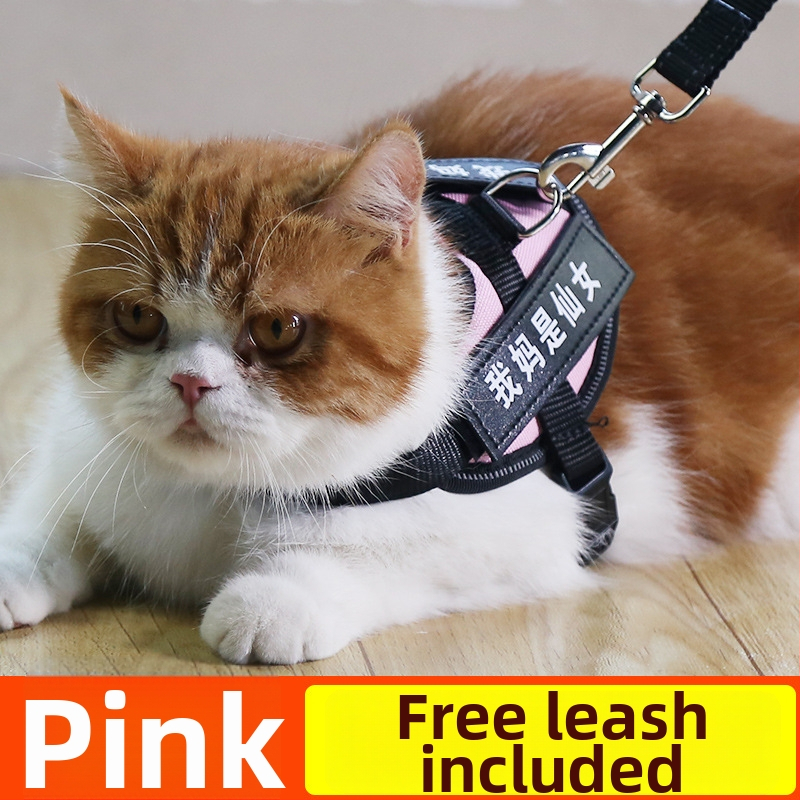 Katės pavadėlis su anti-sulaužymo savybe, liemenės stiliaus dirželis, poliesteris, visoms metų laikams