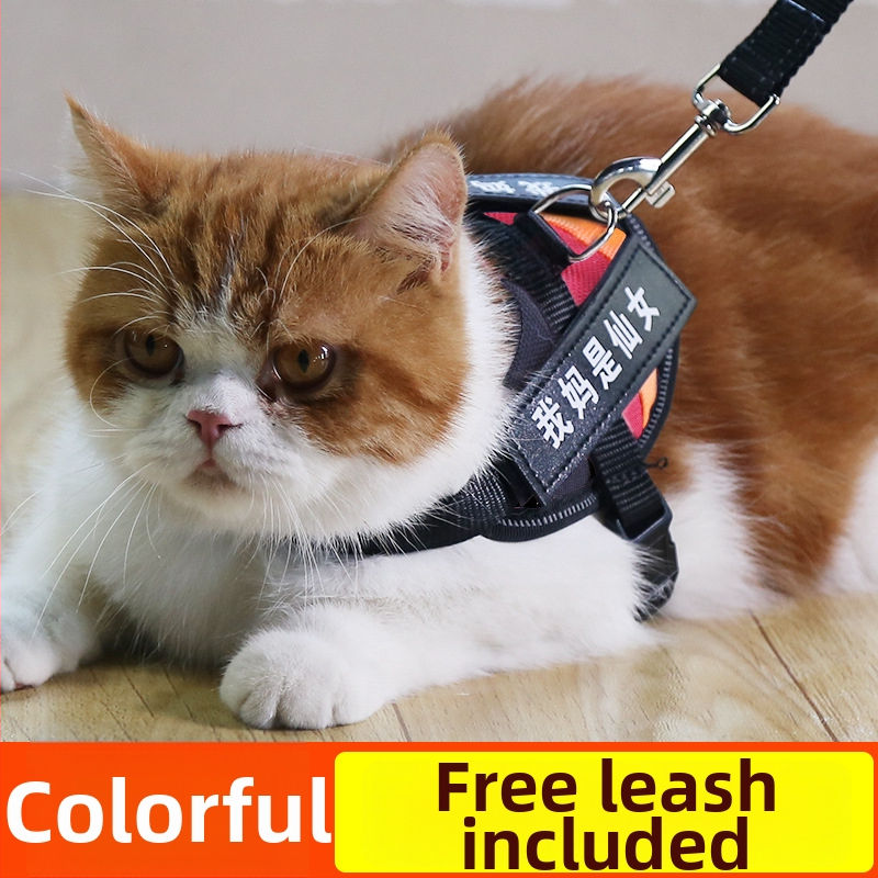 Katės pavadėlis su anti-sulaužymo savybe, liemenės stiliaus dirželis, poliesteris, visoms metų laikams