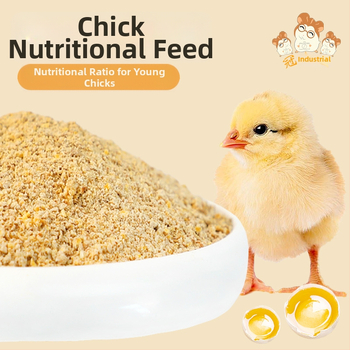 Pradinė pašaro mišinio jauniesiems viščiukams ir kiurkutėms (Importas: Ne; Privatus ženklas: Taip; Rinka: Kitos)