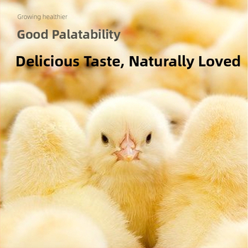 Pradinė pašaro mišinio jauniesiems viščiukams ir kiurkutėms (Importas: Ne; Privatus ženklas: Taip; Rinka: Kitos)