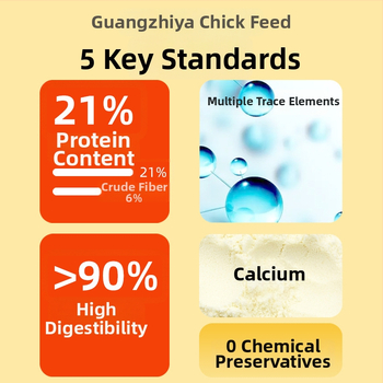 Pradinė pašaro mišinio jauniesiems viščiukams ir kiurkutėms (Importas: Ne; Privatus ženklas: Taip; Rinka: Kitos)