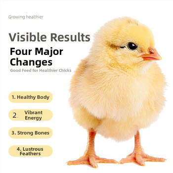 Pradinė pašaro mišinio jauniesiems viščiukams ir kiurkutėms (Importas: Ne; Privatus ženklas: Taip; Rinka: Kitos)