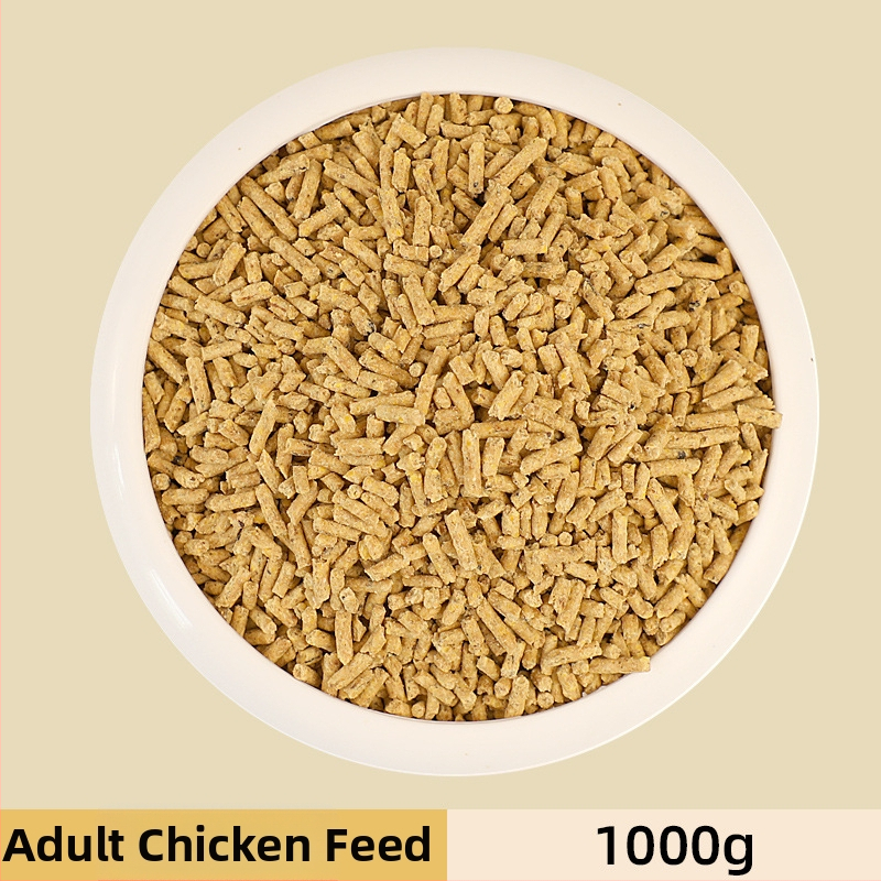 Pradinė pašaro mišinio jauniesiems viščiukams ir kiurkutėms (Importas: Ne; Privatus ženklas: Taip; Rinka: Kitos)
