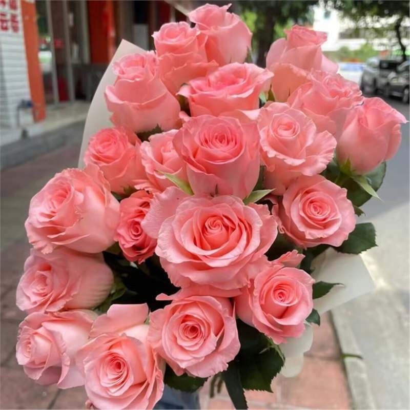 Разсад роза със стар ствол, за вътрешно и външно отглеждане, Код на продукта: 1, Марка: One House, One Flower, Осветление: Неутрално, Температура на отглеждане: Други