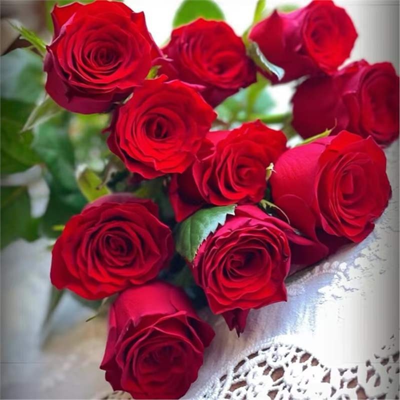 Разсад роза със стар ствол, за вътрешно и външно отглеждане, Код на продукта: 1, Марка: One House, One Flower, Осветление: Неутрално, Температура на отглеждане: Други