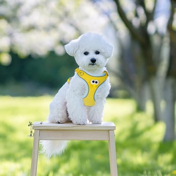 Ed pets Pas za psa s karikaturnim dizajnom velikih očiju - platneni prsni remen
