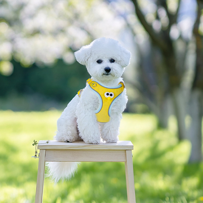 Ed pets Pas za psa s karikaturnim dizajnom velikih očiju - platneni prsni remen