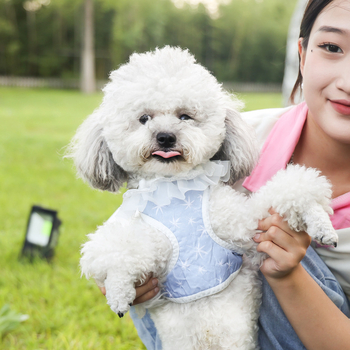 Universali liemenė katėms ir šunims, kvėpuojanti medžiaga, Moto pet