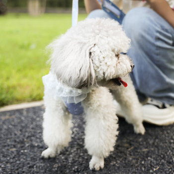 Universali liemenė katėms ir šunims, kvėpuojanti medžiaga, Moto pet