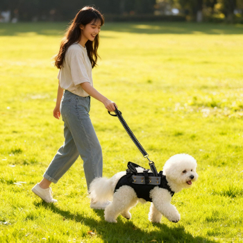 Kis- és közepes méretű kutyák számára készült hám, anti-harapás és anti-szakadás védelemmel, poliészter