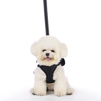 Kis- és közepes méretű kutyák számára készült hám, anti-harapás és anti-szakadás védelemmel, poliészter