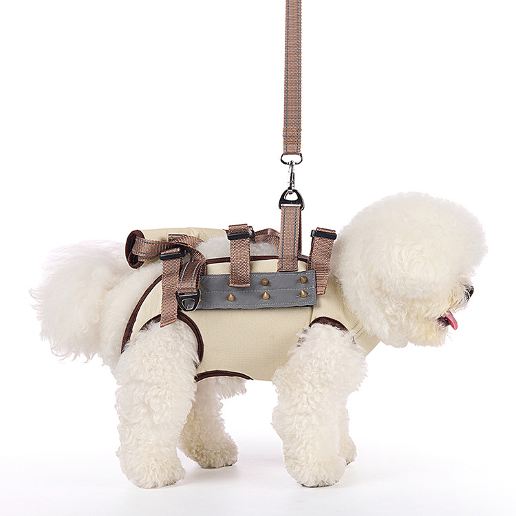 Kis- és közepes méretű kutyák számára készült hám, anti-harapás és anti-szakadás védelemmel, poliészter