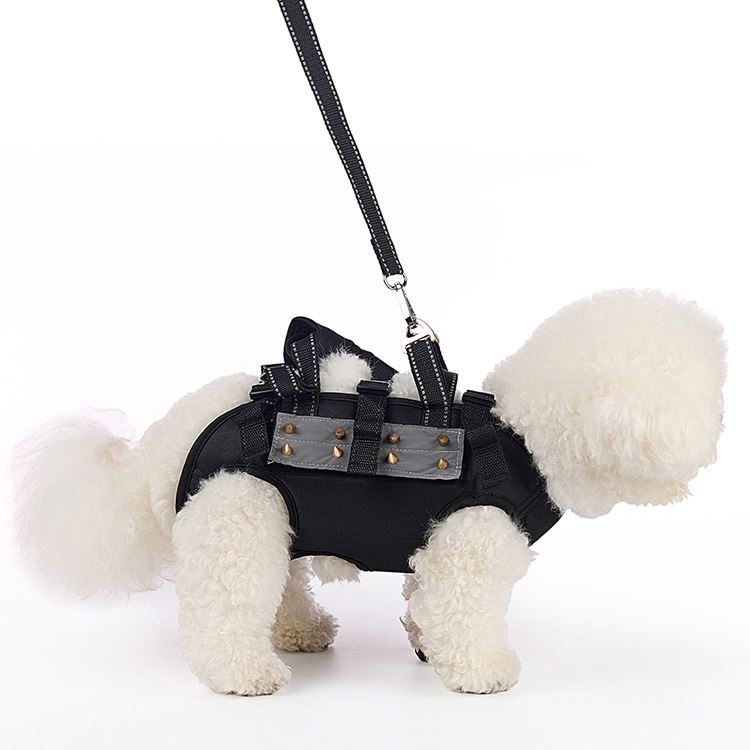 Kis- és közepes méretű kutyák számára készült hám, anti-harapás és anti-szakadás védelemmel, poliészter