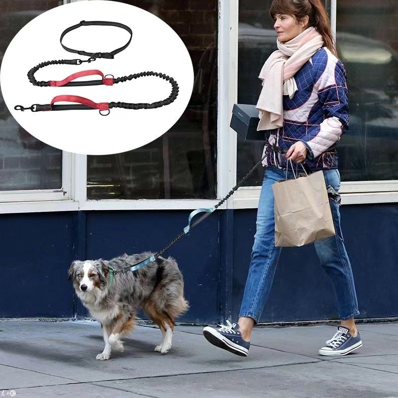 Кучешка разтегателна каишка за тичане – за открити разходки, полиестер, за домашни любимци