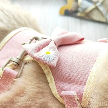 PALSWOW katės harnasas su pavadėliu, drobė, 100 vienetų, skirtos katėms