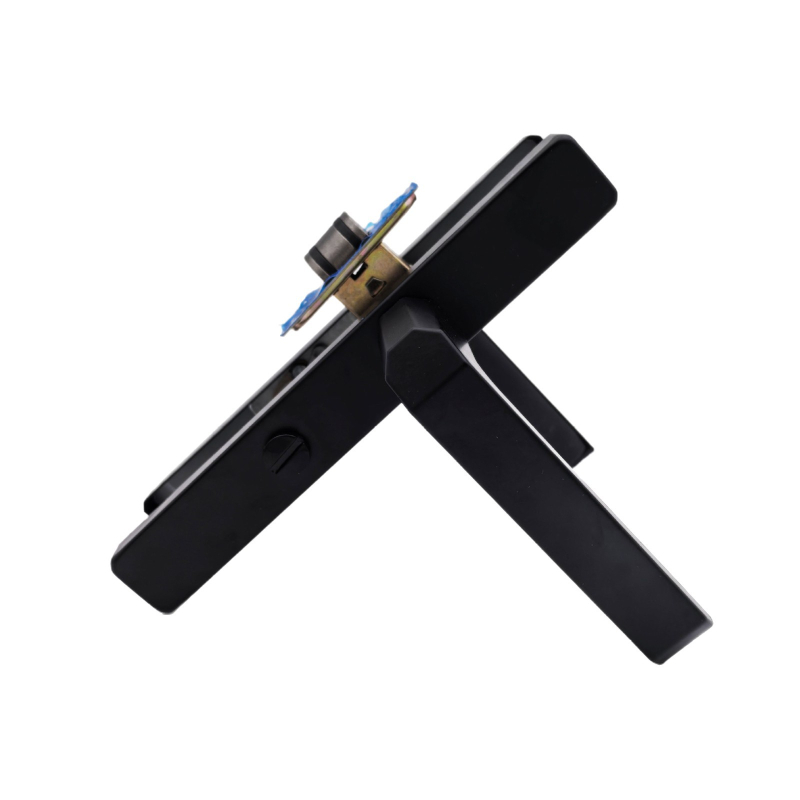 Dzelzs vannasistabas durvju atslēga ar rokturi, modelis 25, šaura mala, pilnīgi uzklāta, mūsdienīgs minimālisms