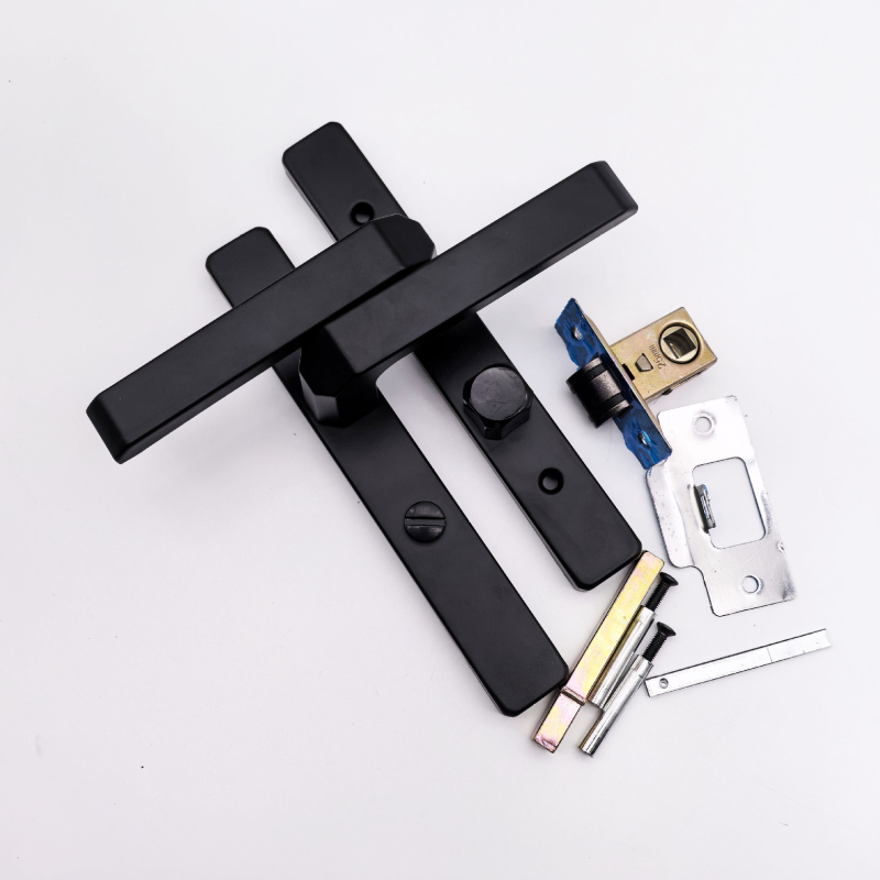 Dzelzs vannasistabas durvju atslēga ar rokturi, modelis 25, šaura mala, pilnīgi uzklāta, mūsdienīgs minimālisms