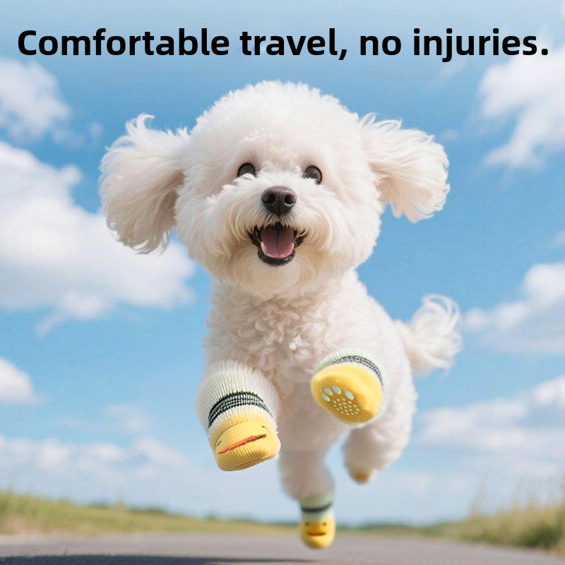 Suņu zeķes ar Cartoon rakstu, kokvilna, Twill adījums, Jacquard apstrāde, pavasaris un rudens