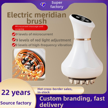 Pārvietojams elektriskais meridiānu masāžieris ar apkuri un vibrācijām, mini, modelis PK690, uzlādējams, 1200 mAh akumulators, temperatūra 38–48°C, ABS korpuss, mehāniskā vadība