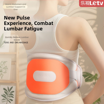 Įkraunama šildoma juosmens masažo juosta su vibruojančiu ir karšto kompresijos principu, Mugwort terapija, iki 4 masažo galvų, XP-101