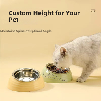 Kaķu barošanas bļoda no plastmasas un nerūsējošā tērauda, slīps mala kakla aizsardzībai, zīmols Qichong