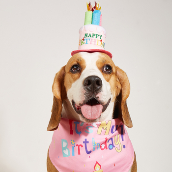 Trikampis šalikas šunims – karikatūros raštas, poliesterio medžiaga, spauda, INS stilius, universalus naudojimas