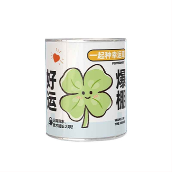 Mini potitaimed salapärases kastis istutamiseks: maasikas, gypsophila, morning glory; sobib klassile või õpilaste preemiaks