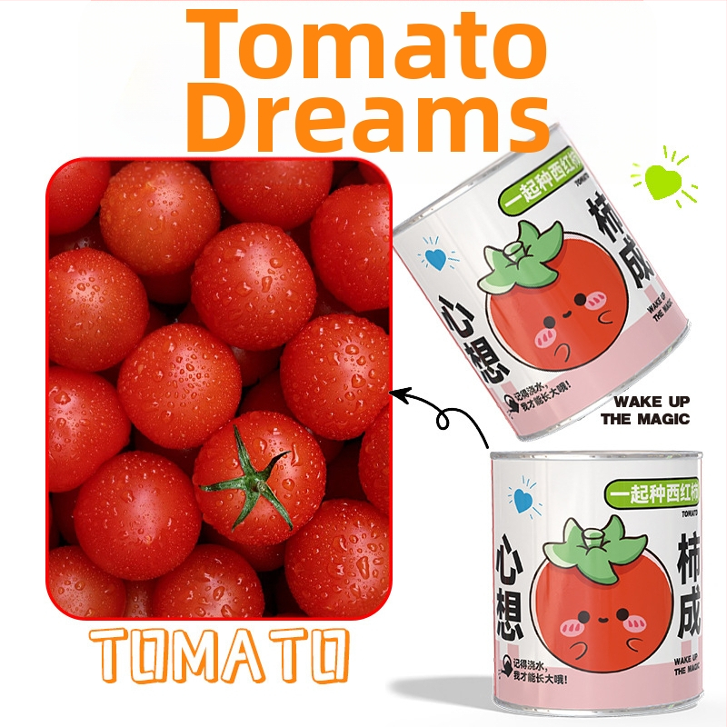 Mini potitaimed salapärases kastis istutamiseks: maasikas, gypsophila, morning glory; sobib klassile või õpilaste preemiaks